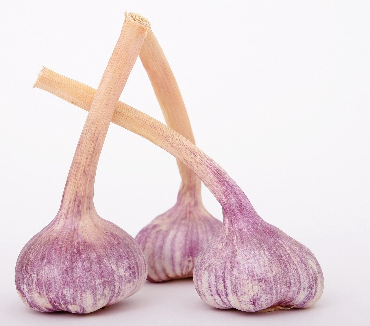 Chinese Garlic